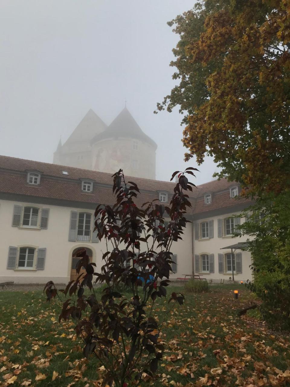 Manoir De La Cote-Dieu Porrentruy Exteriér fotografie